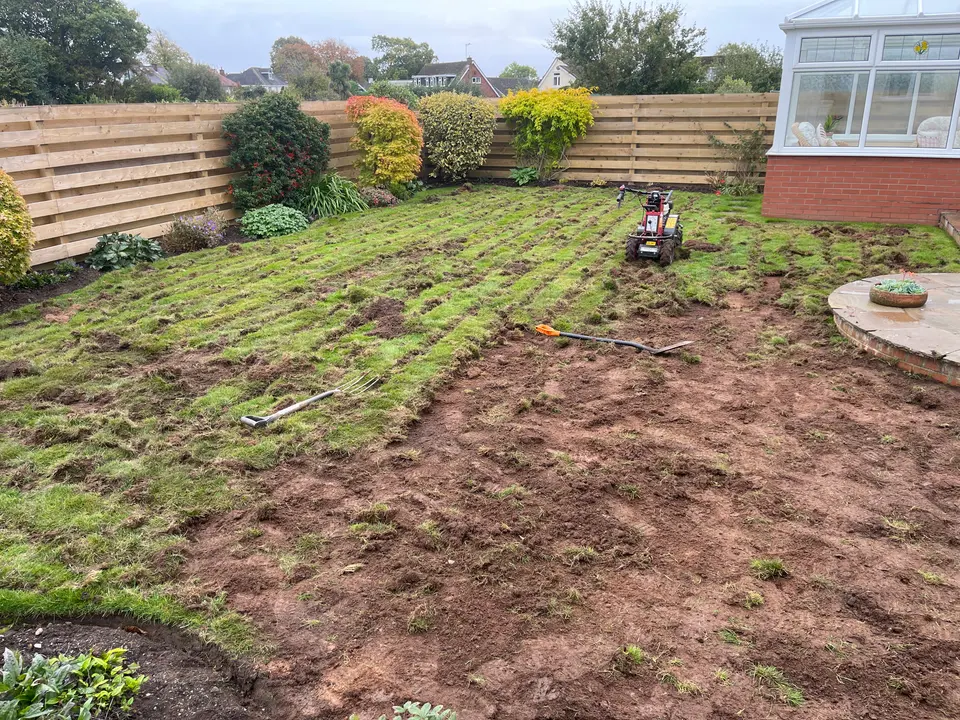 Old lawn cut into strips with a turf cutter ready for removal
